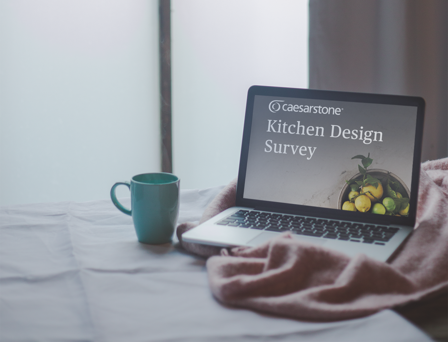 Kitchen design survey results